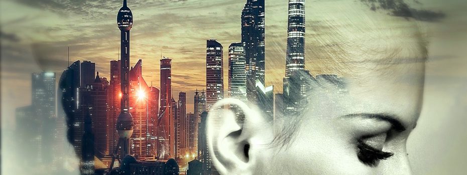 Echo Chamber Development Site