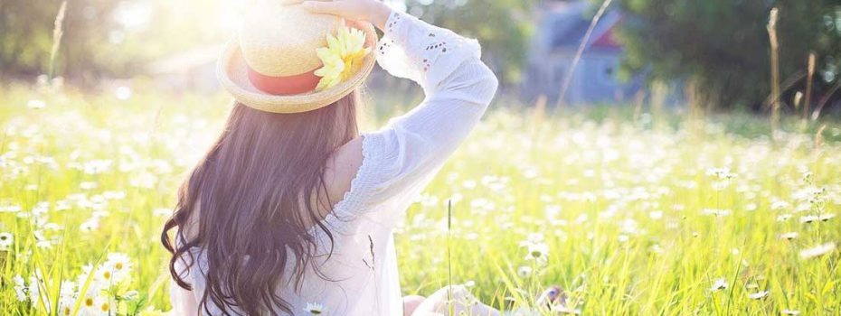 Echo Chamber Development Site