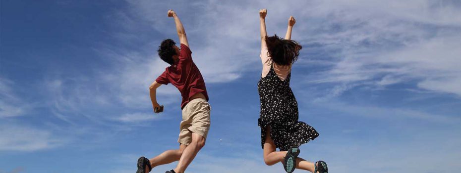 Echo Chamber Development Site