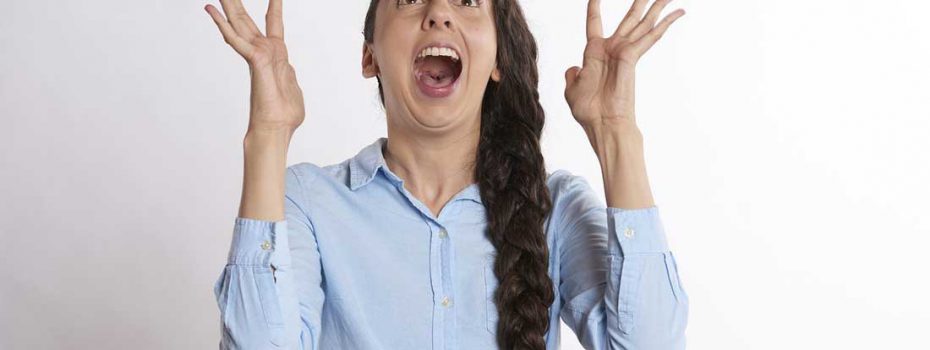 Echo Chamber Development Site