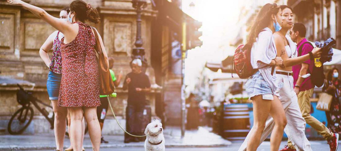 Echo Chamber Development Site