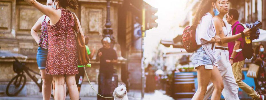 Echo Chamber Development Site