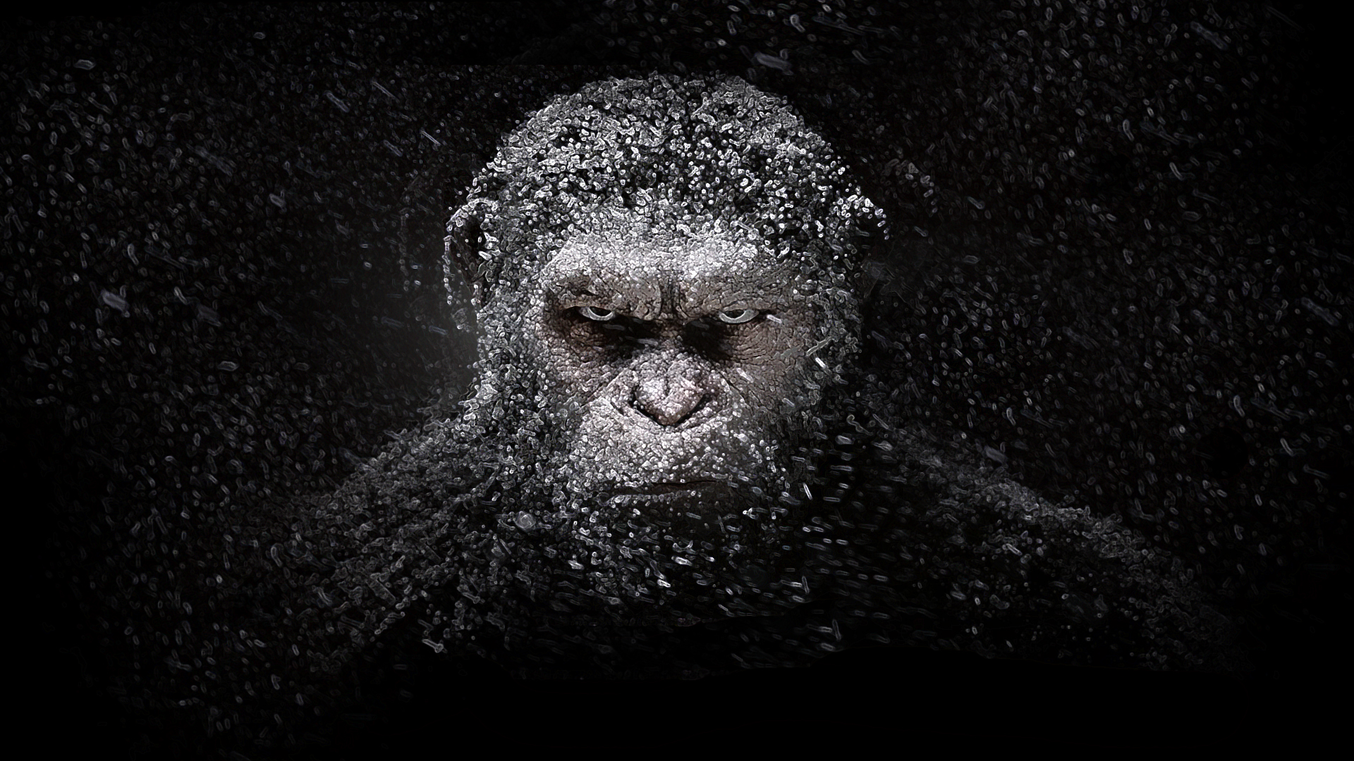 Ape-ocalypse Now: ‘War’ profits for Hollywood…