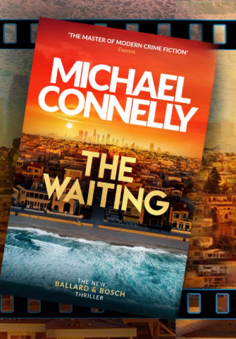 Echo Chamber Development Site