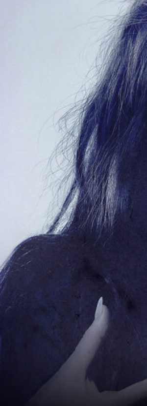 Echo Chamber Development Site